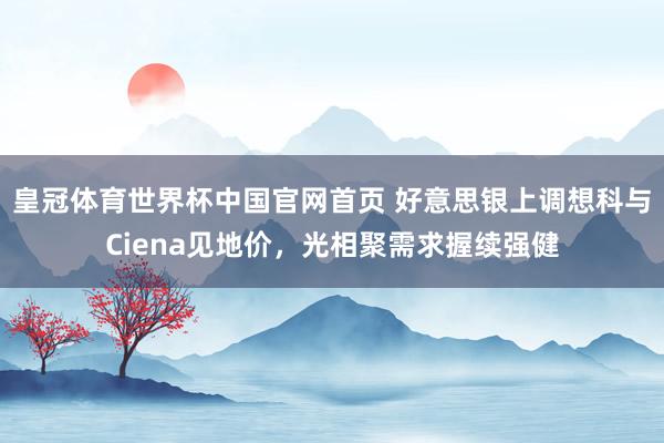 皇冠体育世界杯中国官网首页 好意思银上调想科与Ciena见地价,光相聚需求握续强健