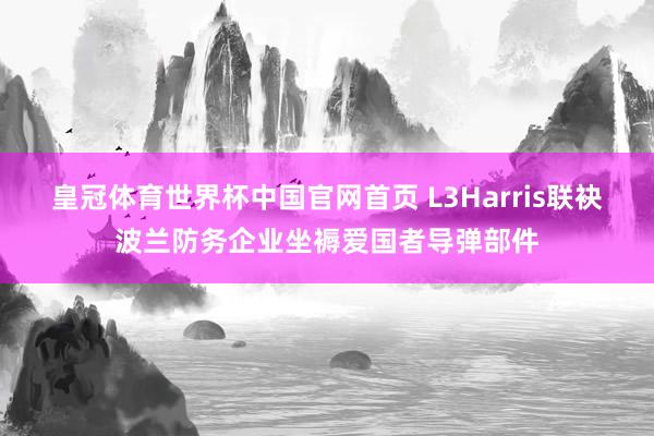 皇冠体育世界杯中国官网首页 L3Harris联袂波兰防务企业坐褥爱国者导弹部件