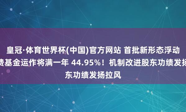 皇冠·体育世界杯(中国)官方网站 首批新形态浮动措置费基金运作将满一年 44.95%!机制改进股东功绩发扬拉风