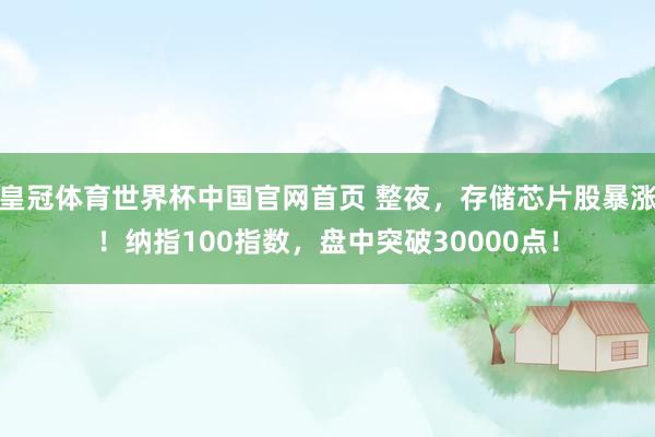皇冠体育世界杯中国官网首页 整夜,存储芯片股暴涨!纳指100指数,盘中突破30000点!