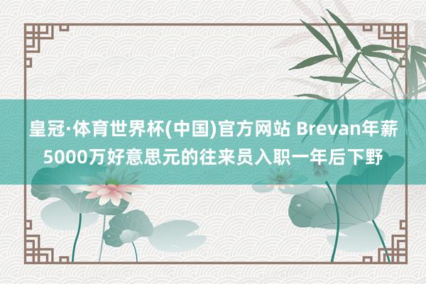 皇冠·体育世界杯(中国)官方网站 Brevan年薪5000万好意思元的往来员入职一年后下野