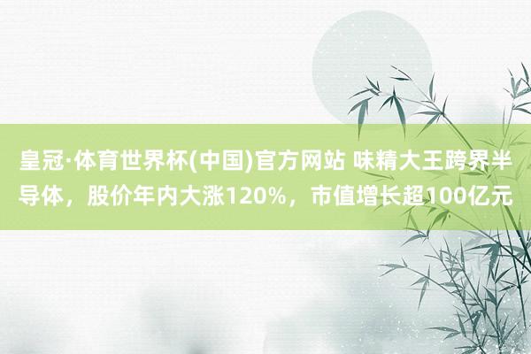 皇冠·体育世界杯(中国)官方网站 味精大王跨界半导体,股价年内大涨120%,市值增长超100亿元