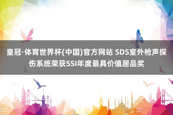 皇冠·体育世界杯(中国)官方网站 SDS室外枪声探伤系统荣获SSI年度最具价值居品奖