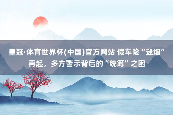 皇冠·体育世界杯(中国)官方网站 假车险“迷烟”再起，多方警示背后的“统筹”之困