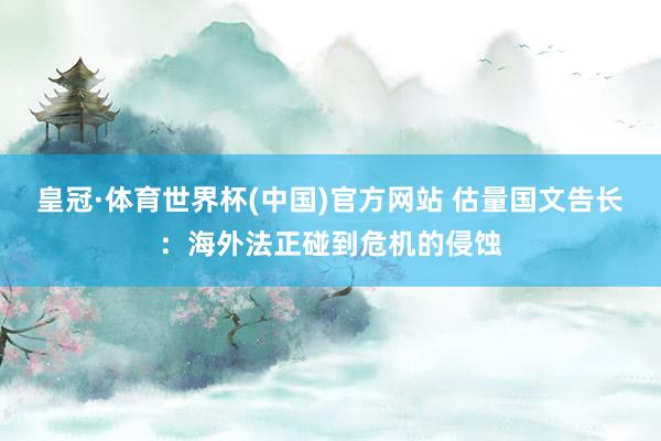 皇冠·体育世界杯(中国)官方网站 估量国文告长:海外法正碰到危机的侵蚀
