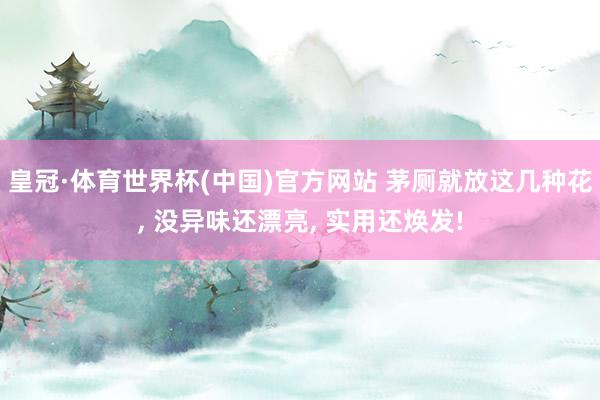 皇冠·体育世界杯(中国)官方网站 茅厕就放这几种花, 没异味还漂亮, 实用还焕发!
