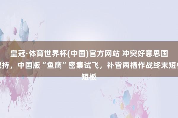皇冠·体育世界杯(中国)官方网站 冲突好意思国把持,中国版“鱼鹰”密集试飞,补皆两栖作战终末短板