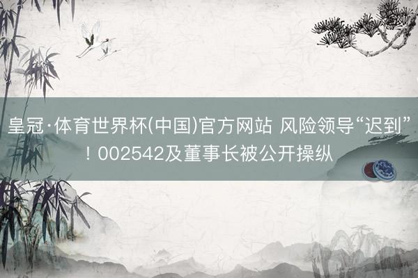 皇冠·体育世界杯(中国)官方网站 风险领导“迟到”! 002542及董事长被公开操纵