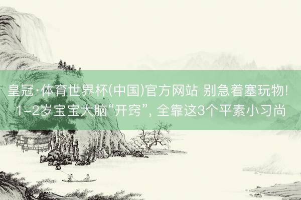 皇冠·体育世界杯(中国)官方网站 别急着塞玩物! 1-2岁宝宝大脑“开窍”, 全靠这3个平素小习尚