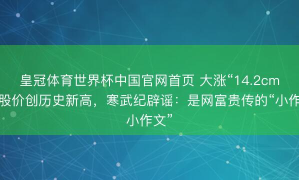 皇冠体育世界杯中国官网首页 大涨“14.2cm”,股价创历史新高,寒武纪辟谣:是网富贵传的“小作文”